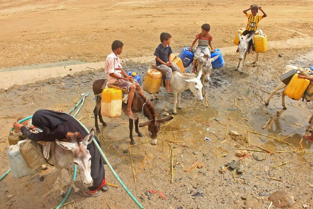شح المياه في اليمن: بين نيران الحرب واحتياجات السكان