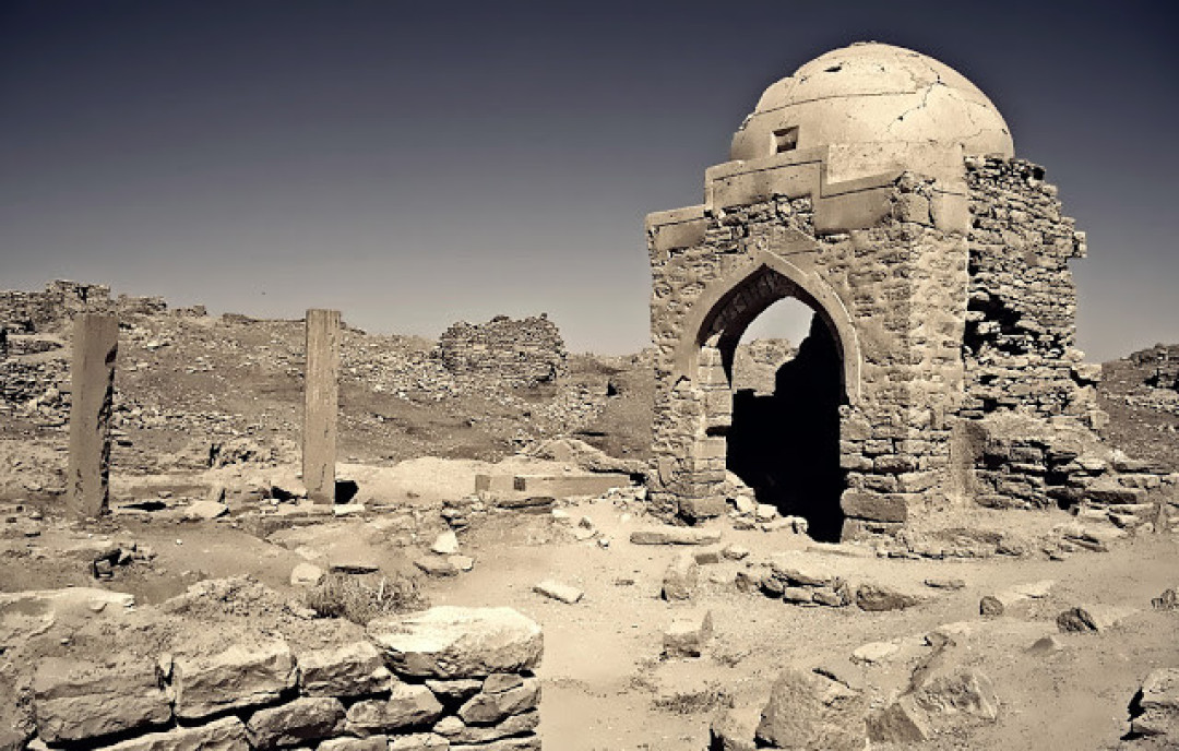براقش ( منصات التواصل)